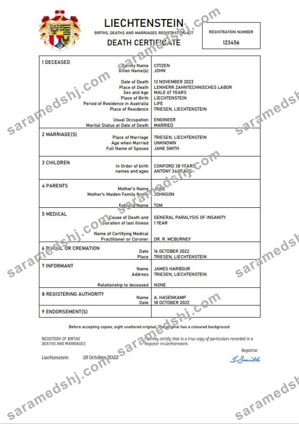 Liechtenstein vital record death certificate Word and PDF template